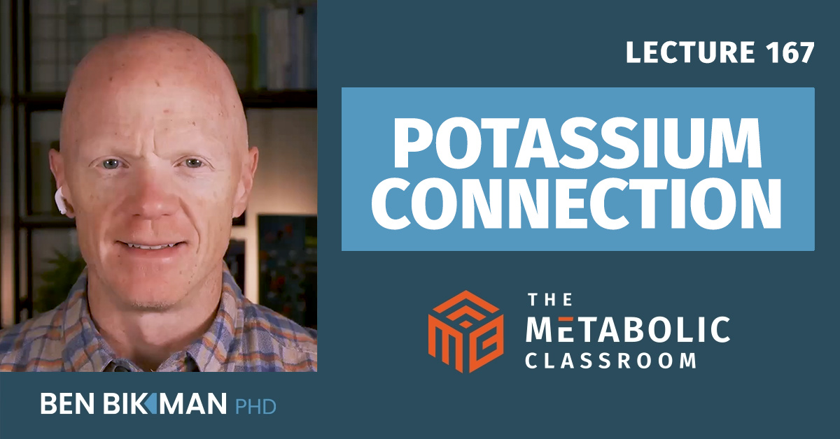Dr. Ben Bikman beside “Potassium Connection,” Lecture 167 of The Metabolic Classroom.